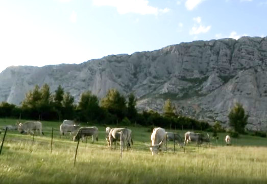 Agricoltura, Artea pronta ai pagamenti di oltre 40 milioni di euro